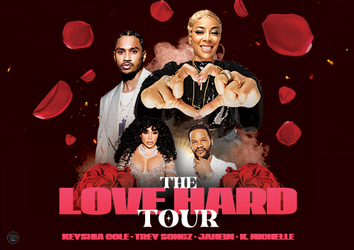 Love Hard Tour General Flyer