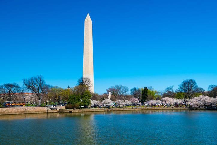 View of the Washington Monument, Tidal Basin and cherry blossom trees in spring, Washington D.C.