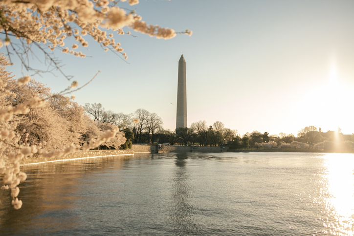 Wide Washington Monument and Tidal Basin cherry blossoms