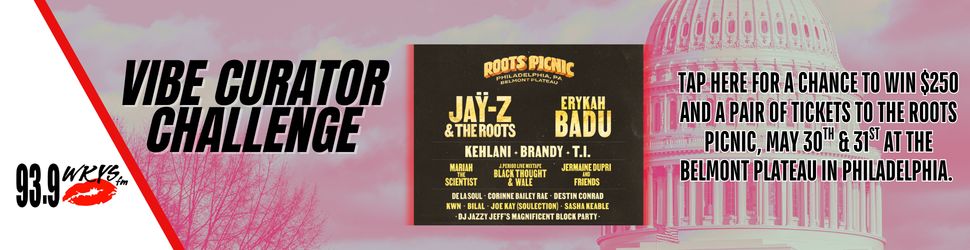 roots music picnic music survey