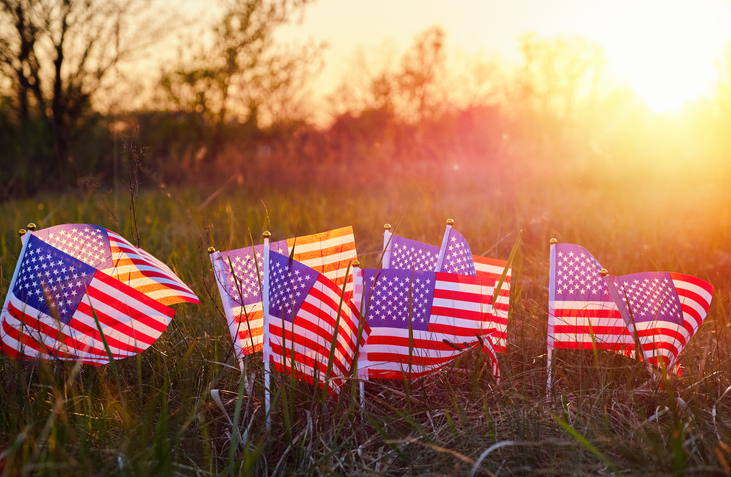 American flags in grass at sunset with warm golden light, patriotic scene symbolizing freedom, remembrance, and national pride