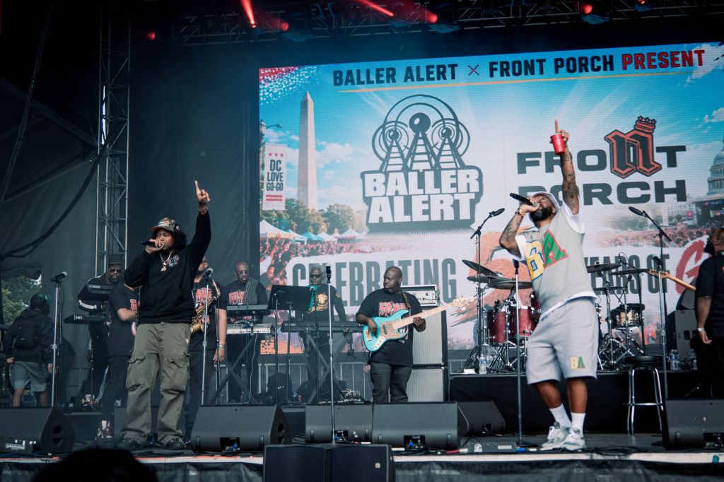 roots picnic 50 years gogo