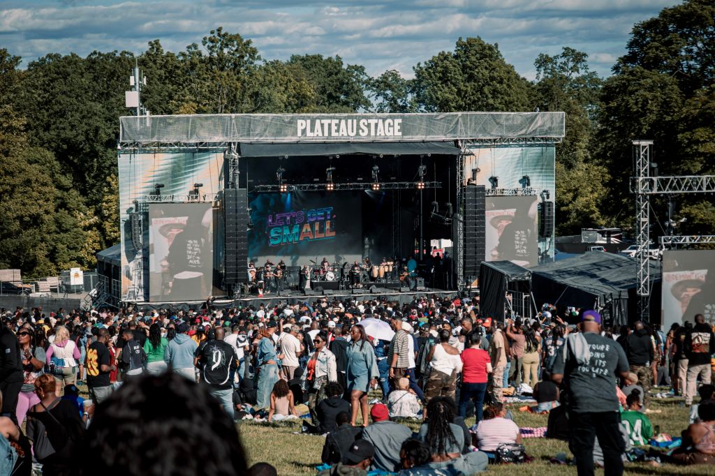roots picnic 50 years gogo