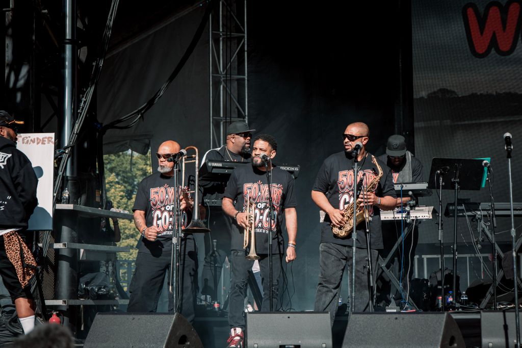 gogo roots picnic band